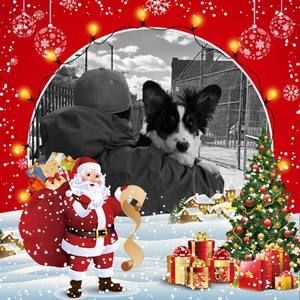 Meet your Posher, Armando